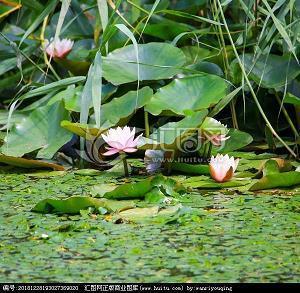 三月唯美励志的语录短句 赞美三月的优美句子30句