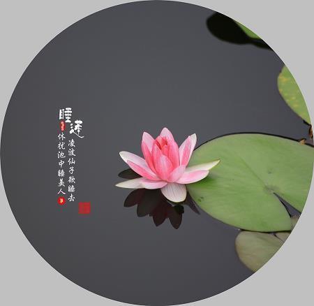 对某人的失望的句子