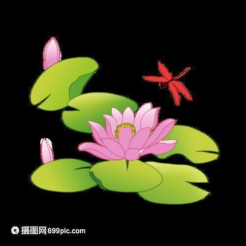 杰斐逊经典语录大全