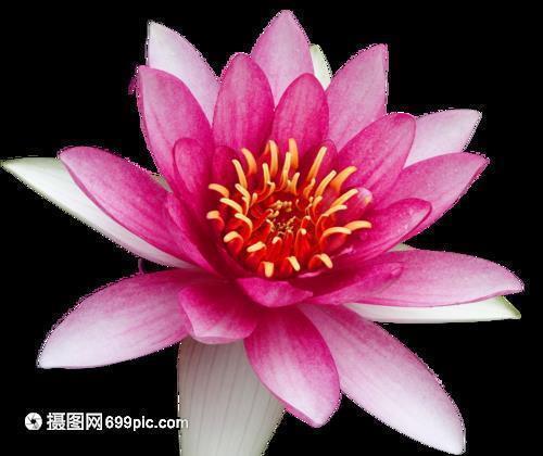 关于微商的经典文案大全大全，最新的经典句子好句集锦28句