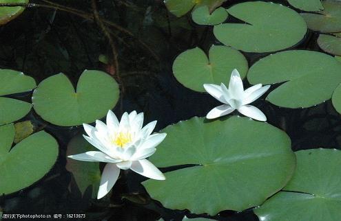 女生朋友圈可爱文案