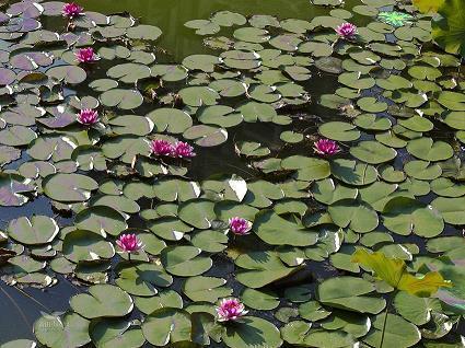 考试考好了开心的句子 考完试的心情的句子