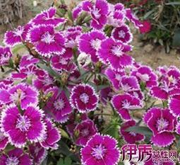 早安简短正能量语录锦集22句