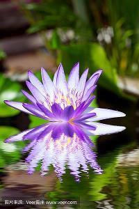 一个人安静独处经典句子 你会明白，万般皆是命，半点不由人