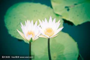 2020中秋节祝福语简短_中秋节祝福短信精选精选69句