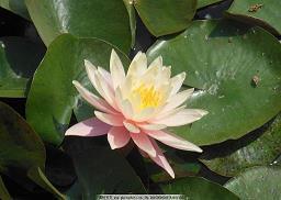 人要学会感恩的句子