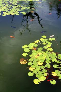 牛年春节九字对联