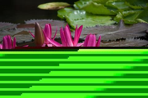 表达一家人温馨的句子简短 关于一家人幸福的说说(精选48句)