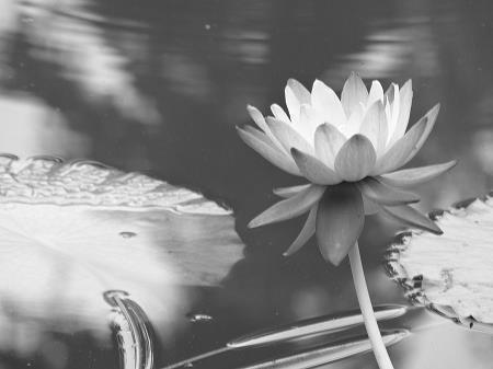 2020再见2021你好说说心情 2020再见2021你好鸡汤感悟句子