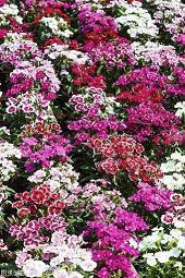 醒悟的句子74句