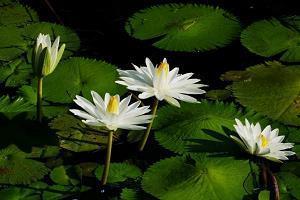 讽刺小心眼的经典句子送给心胸狭窄人的短语