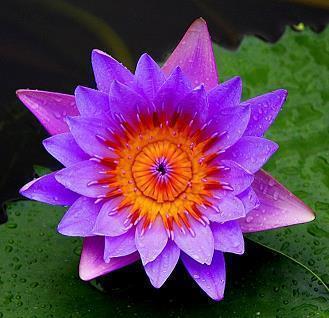 夸老婆幸苦的句子