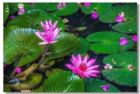 那些说到心坎的文字句子