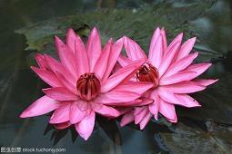 生活太多无奈心情句子 生活中有很多无奈的句子(精选60句)