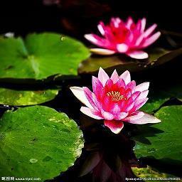 表达对感情迷茫失望的句子说说心情