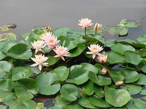 经典励志短句 励志名言短句激励简短合集58句