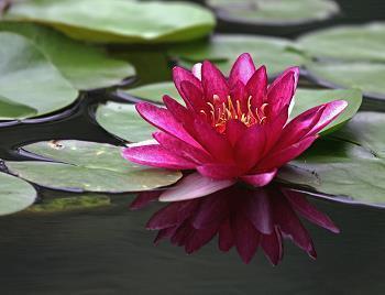 结婚纪念日俏皮句子 致自己结婚纪念日短句