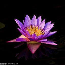 表达清明时节的唯美短句