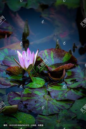 关于2.14情人节的唯美句子102句