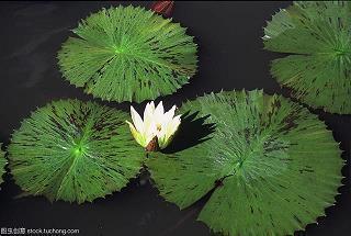 低调公开恋情的句子