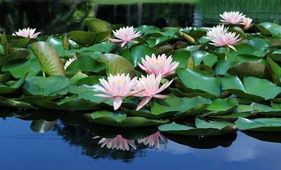 鼓励创业的经典语句