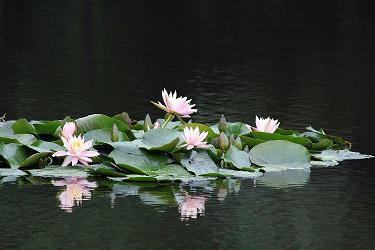 错过的句子经典
