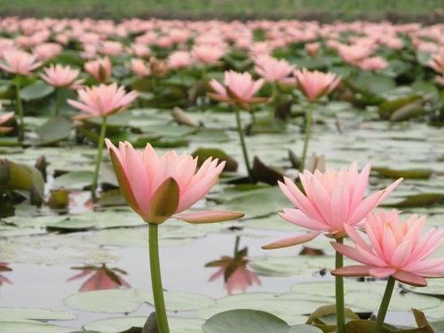 公布怀孕的文案大全 适合公布怀孕的句子