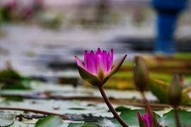 亲情血浓于水亲情感悟 血浓于水的亲情文案(精选31句)