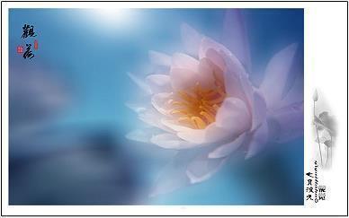 毕业季唯美简短句子83句