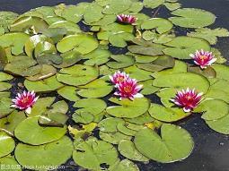 最新再见7月你好8月经典句子唯美(精选98句)