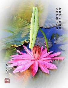 闺蜜发朋友圈的精美句子27句
