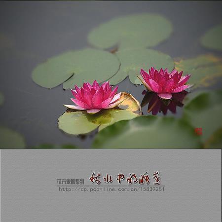 立冬的语句大全 深秋立冬唯美句子