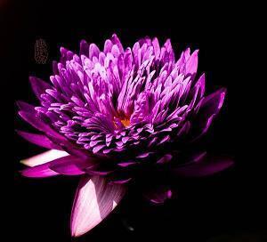 比较有意思的生日快乐文案(精选27句)