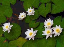 早安说说正能量简短收录26句