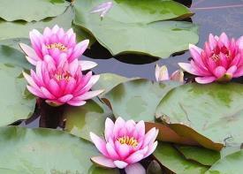 有关2020四月说说文案大全简单汇编77句