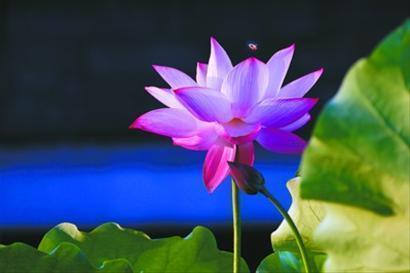 致毕业的青春句子合集68句