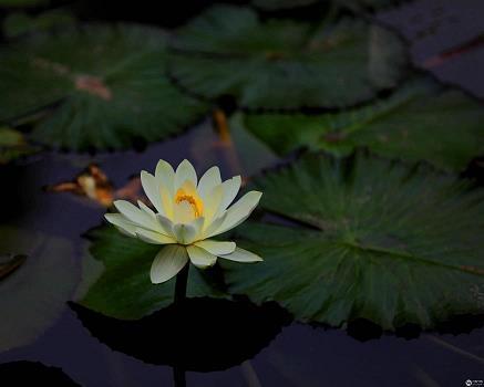 有关毕业留念的句子92句