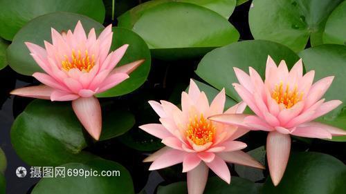 2021年最后一个月说说文案(精选91句)