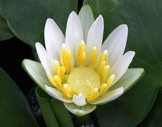 关于酒的经典句子 关于喝酒的搞笑句子