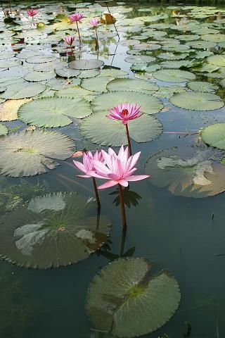 清晨发朋友圈暖心话 早安正能量简单一句话汇编37句