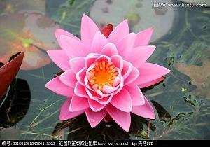 晚安心语唯美句子93句