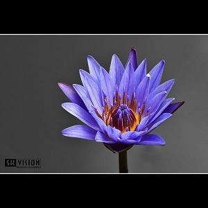 朋友圈鼓励句子