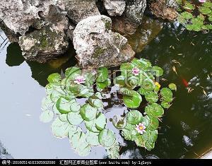表达女人对男人失望的句子