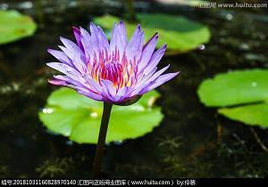2021教师节祝福语大全简短汇编37句