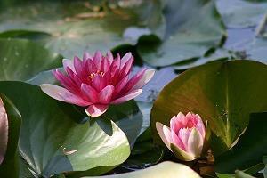 高情商发朋友圈心情文案合集62句