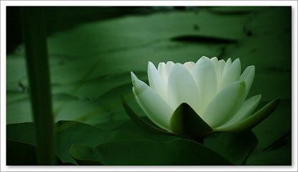 安慰朋友的话语大全