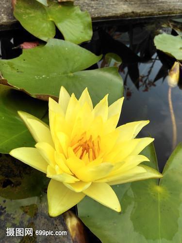 用心胸造句大全 心胸怎么造句