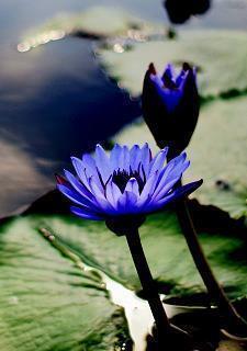 晚安励志语录简短收集28句