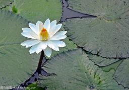 余生相伴的唯美句子