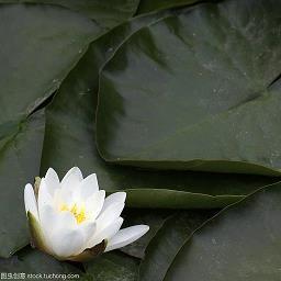 稻草人好句大全(精选59句)